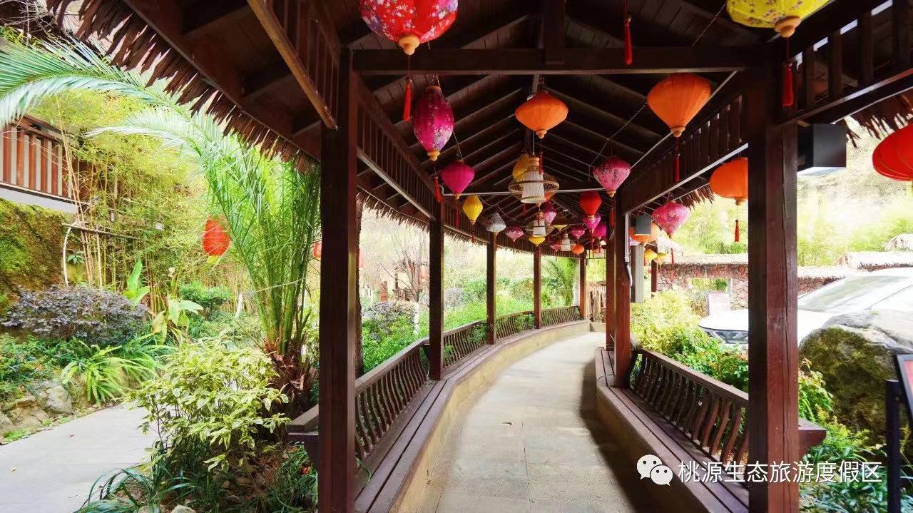 爽游桃源迎春纳福前“兔”似锦